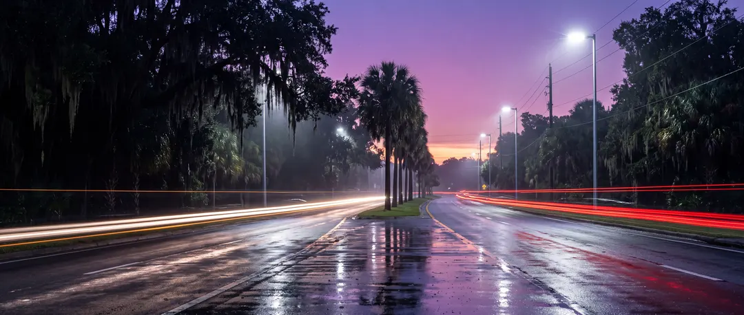 Empty palm-lined Florida road after rain at dusk